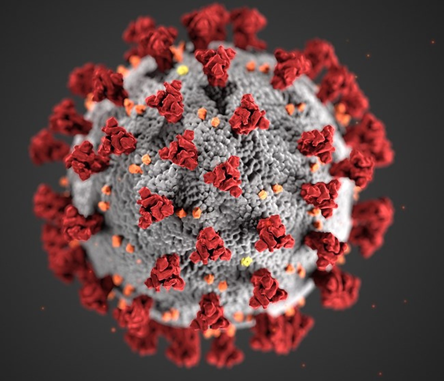 CDC-coronavirus-image-23311-for-web-2.jpg